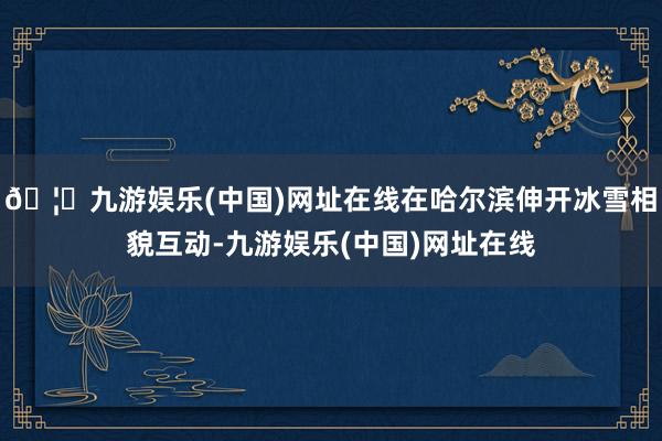 🦄九游娱乐(中国)网址在线在哈尔滨伸开冰雪相貌互动-九游娱乐(中国)网址在线