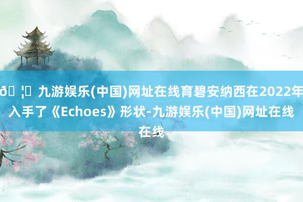 🦄九游娱乐(中国)网址在线育碧安纳西在2022年入手了《Echoes》形状-九游娱乐(中国)网址在线