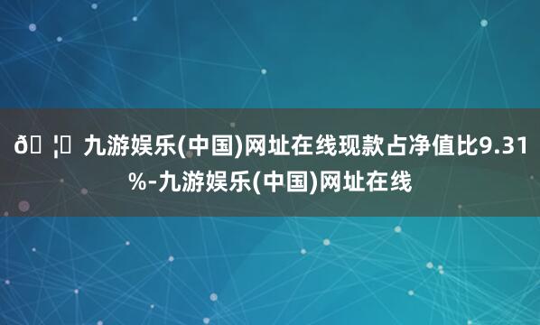 🦄九游娱乐(中国)网址在线现款占净值比9.31%-九游娱乐(中国)网址在线