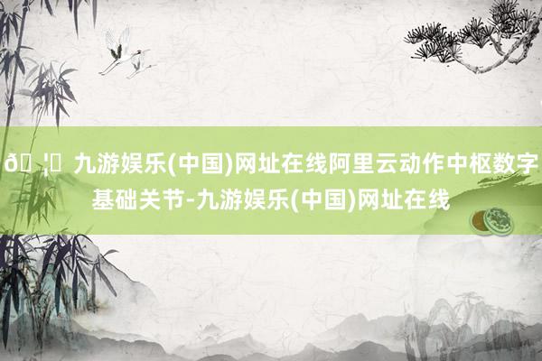 🦄九游娱乐(中国)网址在线阿里云动作中枢数字基础关节-九游娱乐(中国)网址在线