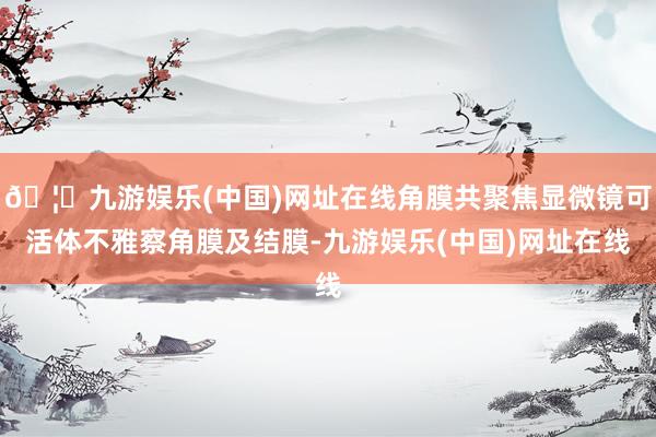 🦄九游娱乐(中国)网址在线角膜共聚焦显微镜可活体不雅察角膜及结膜-九游娱乐(中国)网址在线