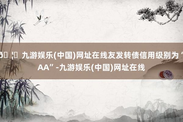 🦄九游娱乐(中国)网址在线友发转债信用级别为“AA”-九游娱乐(中国)网址在线