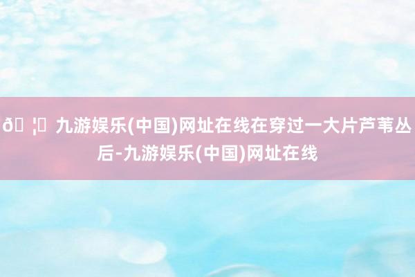🦄九游娱乐(中国)网址在线在穿过一大片芦苇丛后-九游娱乐(中国)网址在线