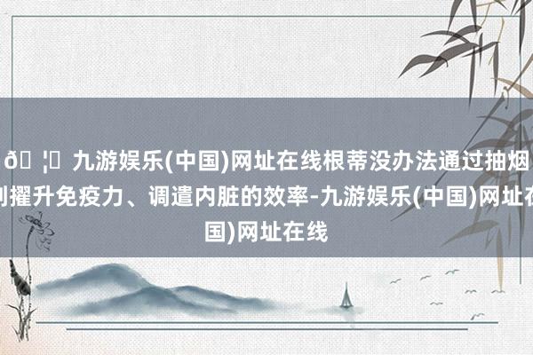 🦄九游娱乐(中国)网址在线根蒂没办法通过抽烟起到擢升免疫力、调遣内脏的效率-九游娱乐(中国)网址在线